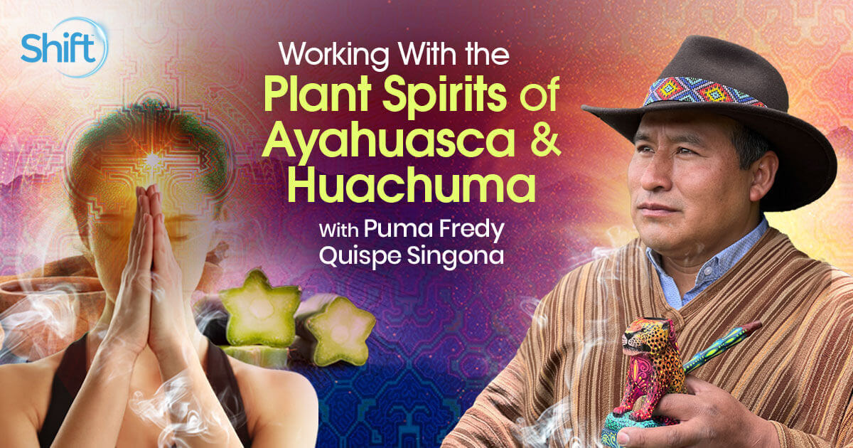 Puma Fredy Quispe Singona – The Shift Network – Working With the Plant Spirits of Ayahuasca and Huachuma