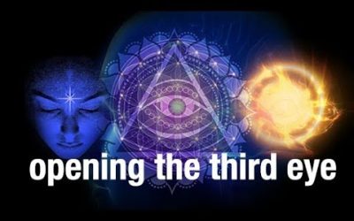 Raja Choudhury – The Shift Network – Open Your Third Eye