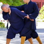 Shaolin Martial Arts – Shaoulin Apprenticeship Online Year 1