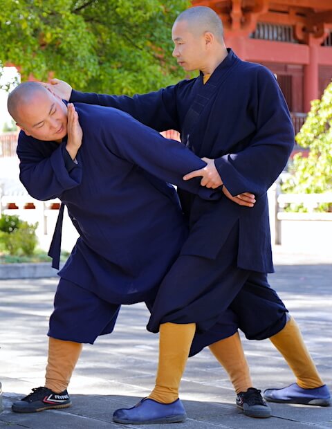 Shaolin Martial Arts – Shaoulin Apprenticeship Online Year 1