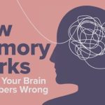 TTC – How Memory Works and Why Your Brain Remembers Wrong