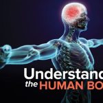 TTC Video – Anthony Goodman – Understanding the Human Body 2nd Edition