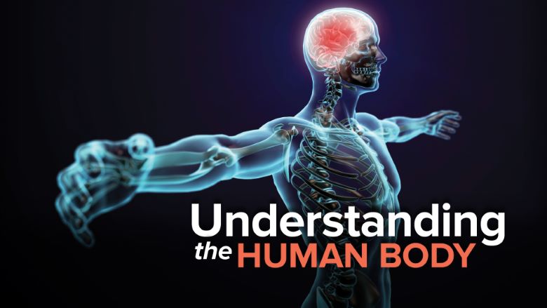 TTC Video – Anthony Goodman – Understanding the Human Body 2nd Edition