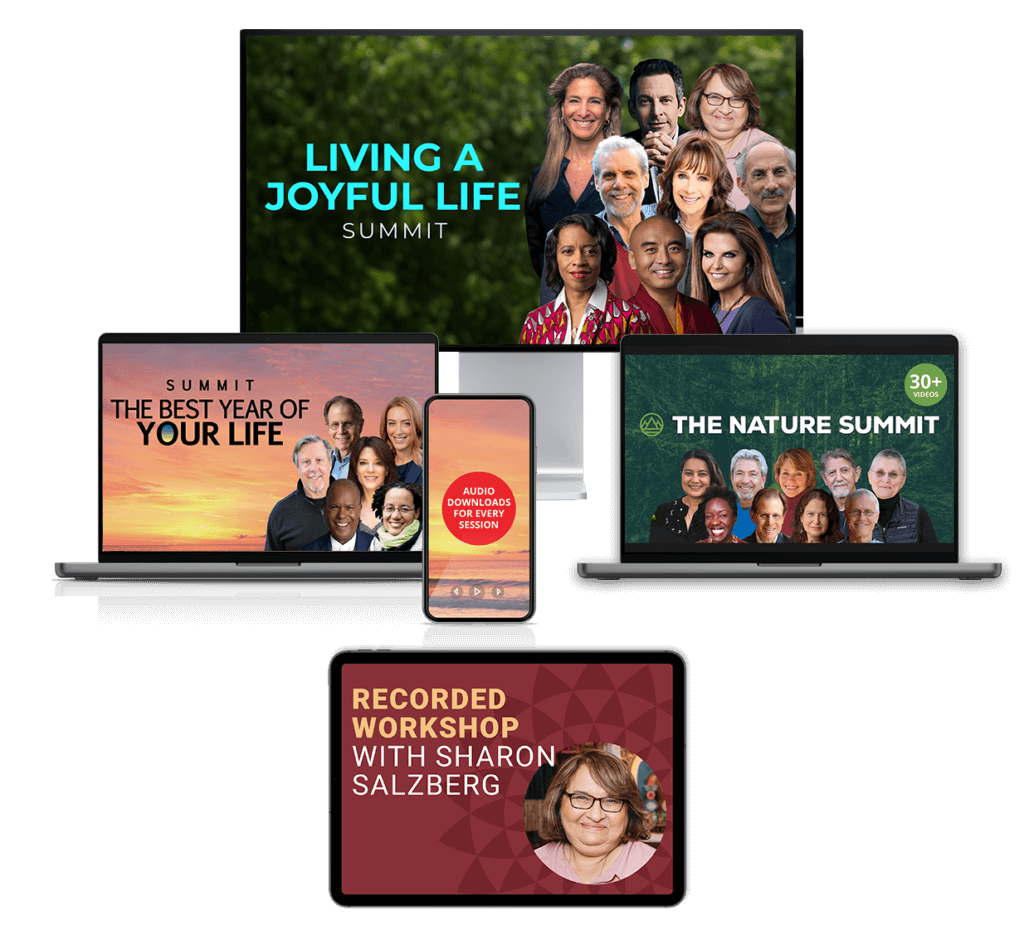 Wisdom for life – Living a Joyful Life Summit 2024