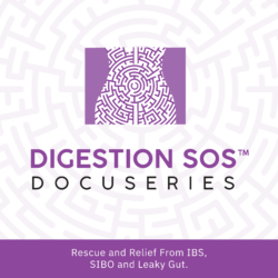 V.A. – Digestion SOS Documentary Series