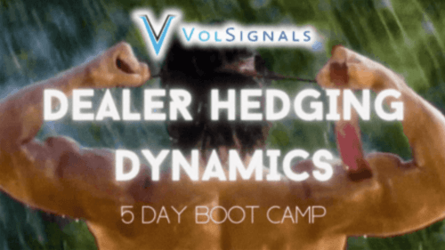 VOLSIGNALS – Dealer Hedging Bootcamp (1)