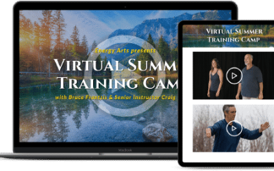 Bruce Frantzis – Energy Arts – 2023 Summer Virtual Training Camp: Meditation in Tai Chi and Qigong