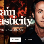 Peterson Academy – David Eagleman – Brain Plasticity