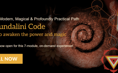 Raja Choudhury – The Kundalini Code