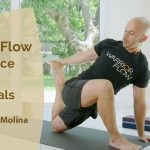 Adrian Molina – Warrior Flow Practice & Tutorials