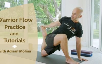 Adrian Molina – Warrior Flow Practice & Tutorials