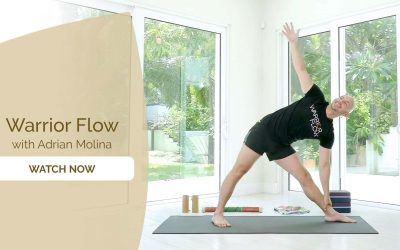 Adrian Molina – Warrior Flow Yoga for Strength & Flexibility Live Class Replays