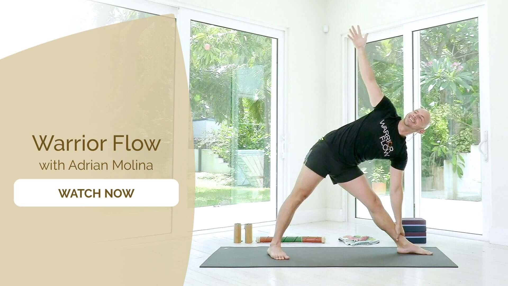 Adrian Molina – Warrior Flow Yoga for Strength & Flexibility Live Class Replays (1)