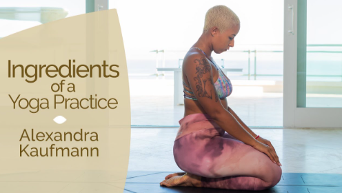 Alex Kaufmann – Ingredients for a Yoga Practice