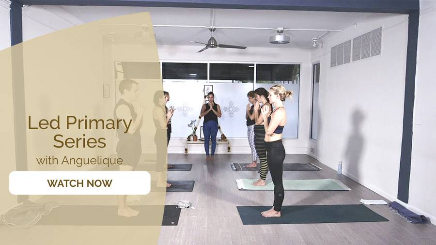 Angelique Sandas – Guided Ashtanga Primary Series