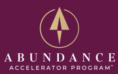 Brian Ridgway – The Abundance Accelerator