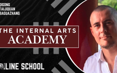 Damo Mitchell – Internal Arts Academy – Basics of Gong Fu