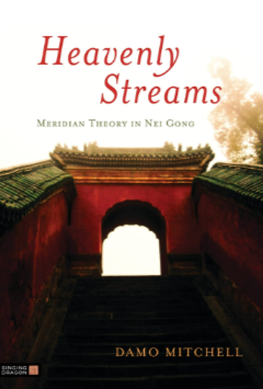 Damo Mitchell – Internal Arts Academy – Heavenly Streams