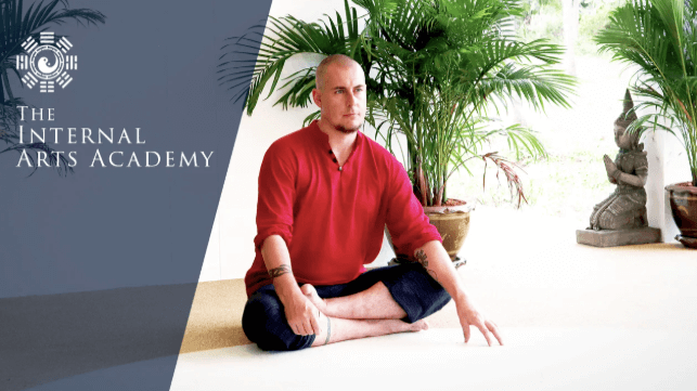 Damo Mitchell – Internal Arts Academy – Lectures (Vilamoura, March 2020) (1)