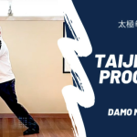 Damo Mitchell – Internal Arts Academy – Online Taiji Quan Program Year 3