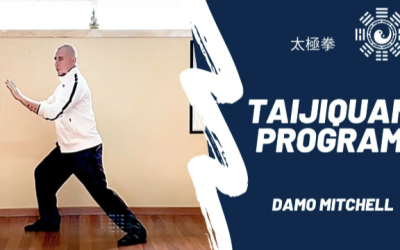 Damo Mitchell – Internal Arts Academy – Online Taiji Quan Program Year 3