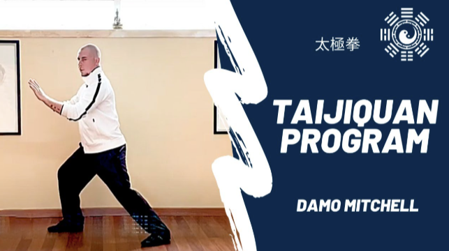 Damo Mitchell – Internal Arts Academy – Online Taiji Quan Program Year 3
