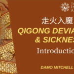 Damo Mitchell – Internal Arts Academy – Qi Gong Deviation