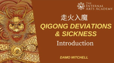 Damo Mitchell – Internal Arts Academy – Qi Gong Deviation