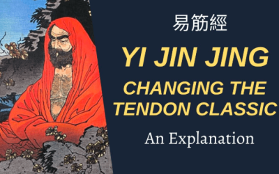 Damo Mitchell – Internal Arts Academy – Yi Jin Jing