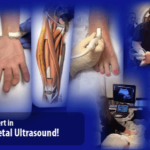 MSK Ultrasound MasterClass – Complete Path to Learn