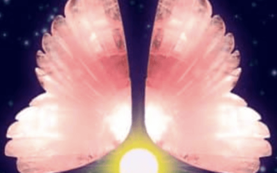 Robert Gilbert – Minerals & Crystals for Times of Stress: Creating Vibrational Health, Stability & Empowerment