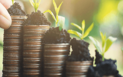 Sharon Lechter – Money Mastery Financial Literacy