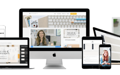 Ashlyn Carter – The Art Of Efficiency