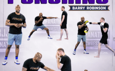 Barry Robinson – A Million styles-Body Punching