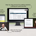 Danbee Shin – Website Audit Masterclass