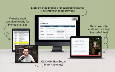 Danbee Shin – Website Audit Masterclass
