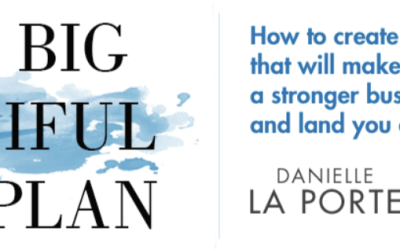 Danielle Laporte – Your Big Beautiful Book Plan