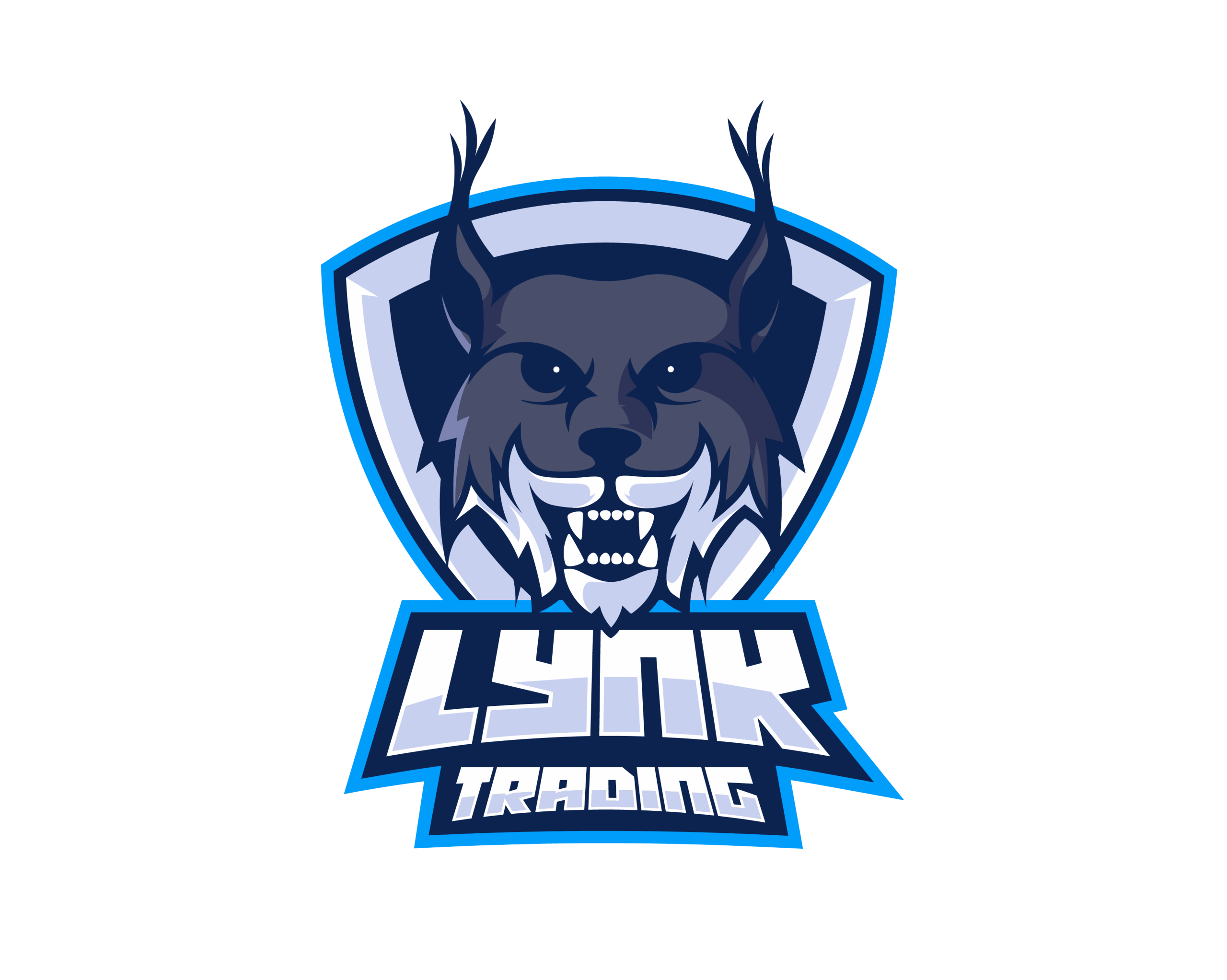 Lynk Trading – The Mentorship (Latest) (1)