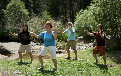 Craig Barnes – Wu Style Tai Chi Short Form Intensive Jun 2024