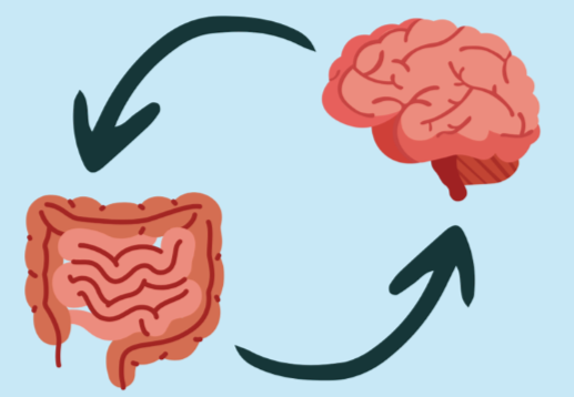 Tanya Zajdel – Nutrition For Trauma