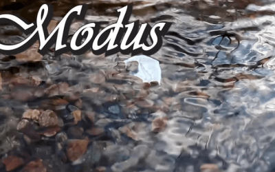 Danny Goldsmith – Modus