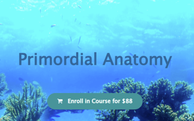 Emilie Conrad – Continuum Movement – Primordial Anatomy