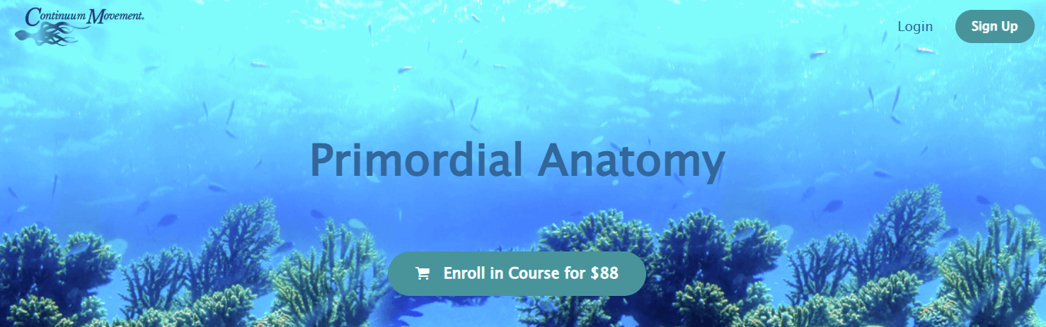 Emilie Conrad – Continuum Movement – Primordial Anatomy (1)
