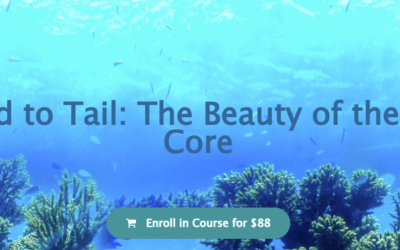 Emilie Conrad – From Head to Tail – The Beauty of the Vertebral Core