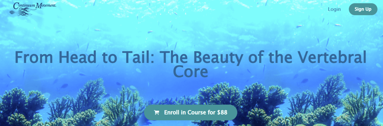 Emilie Conrad – From Head to Tail – The Beauty of the Vertebral Core (1)