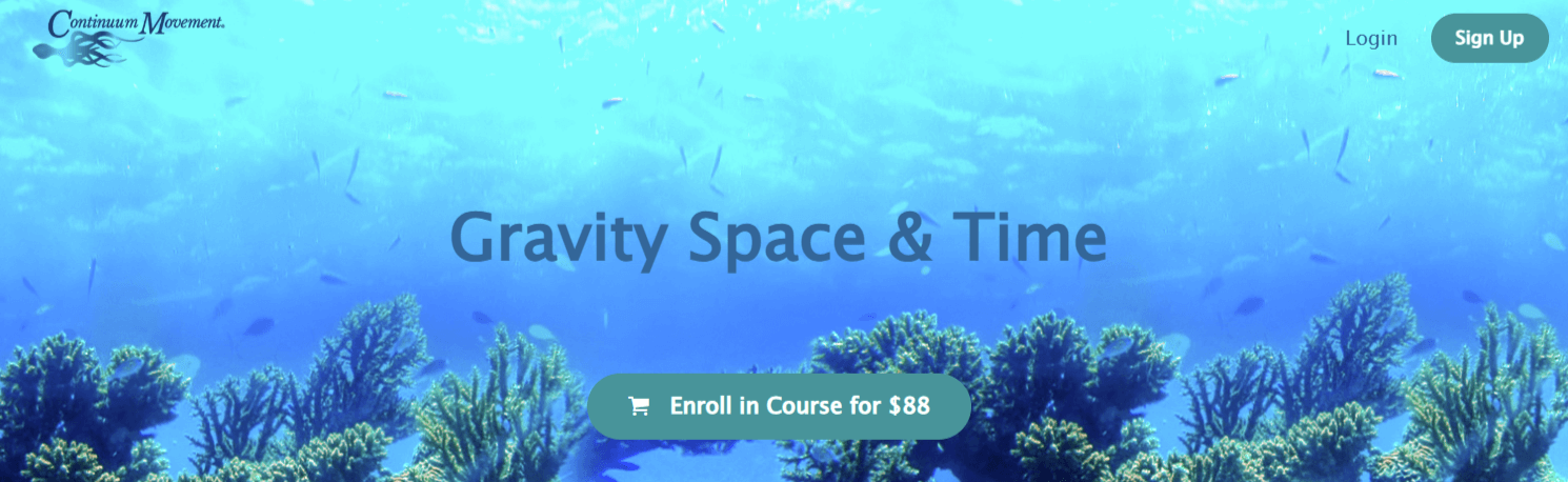 Emilie Conrad – Gravity Space & Time (1)