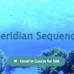 Emilie Conrad – Meridian Sequence