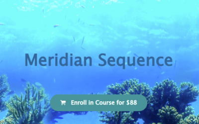 Emilie Conrad – Meridian Sequence