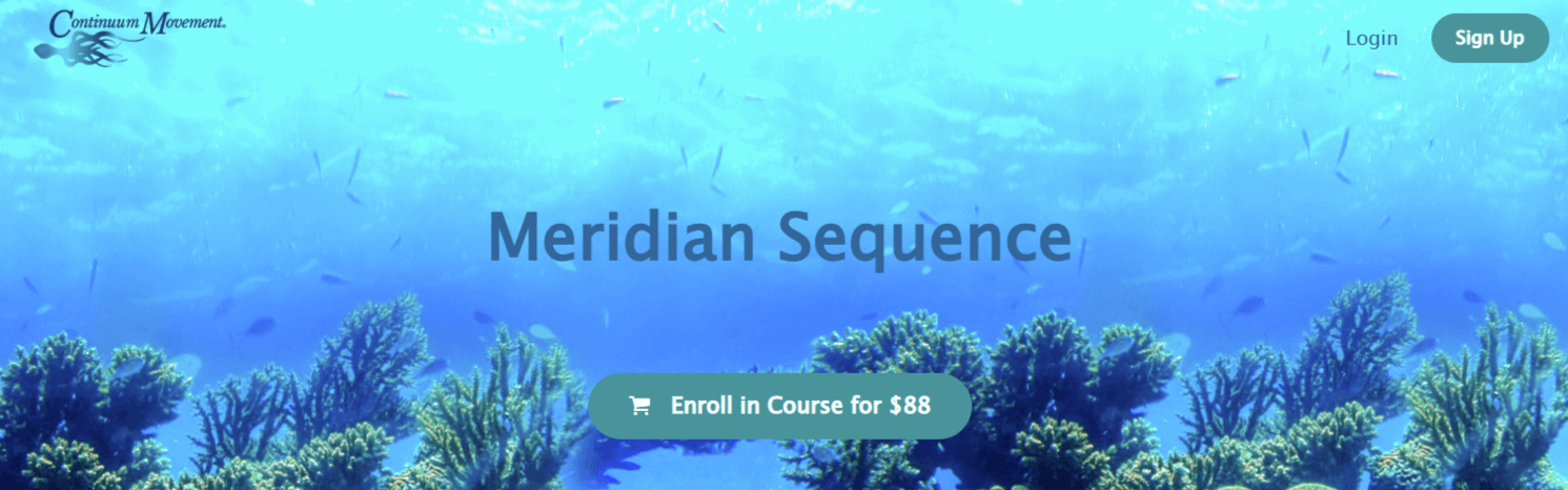 Emilie Conrad – Meridian Sequence (1)