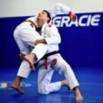 Felipe Guedes – The Most Important Techniques of Brazilian Jiu Jitsu